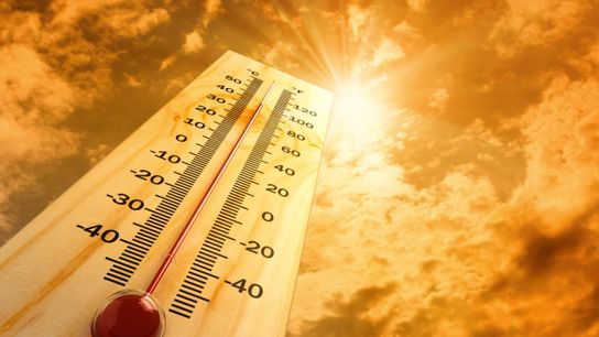 Experts call for new heatstroke guidelines for lineman (Featured)